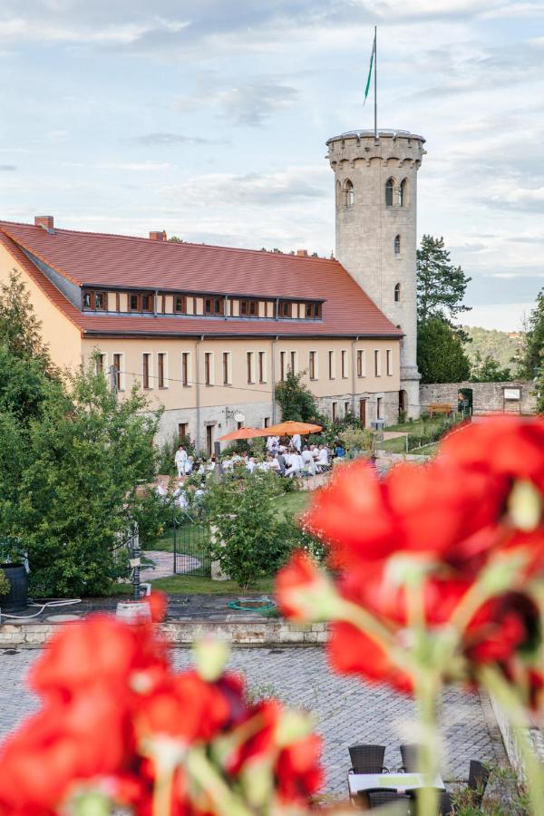Weingut Pawis Appartements Freyburg Exterior photo